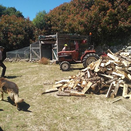 Chale Pouso Da Serra - Casas De Montanha Costilhao Zewnętrze zdjęcie