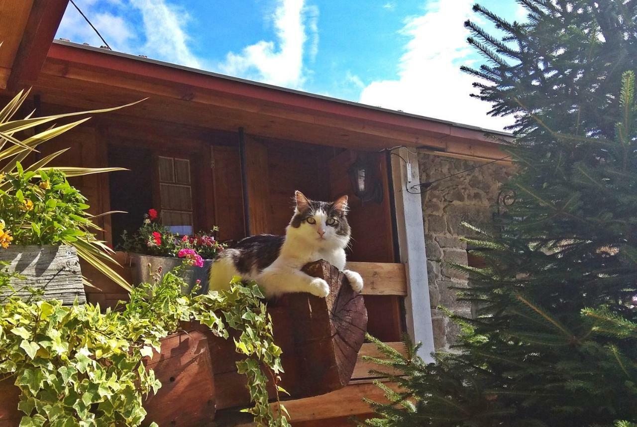 Chale Pouso Da Serra - Casas De Montanha Costilhao Zewnętrze zdjęcie