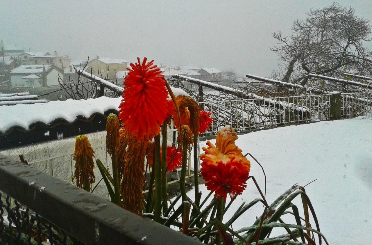Chale Pouso Da Serra - Casas De Montanha Costilhao Zewnętrze zdjęcie