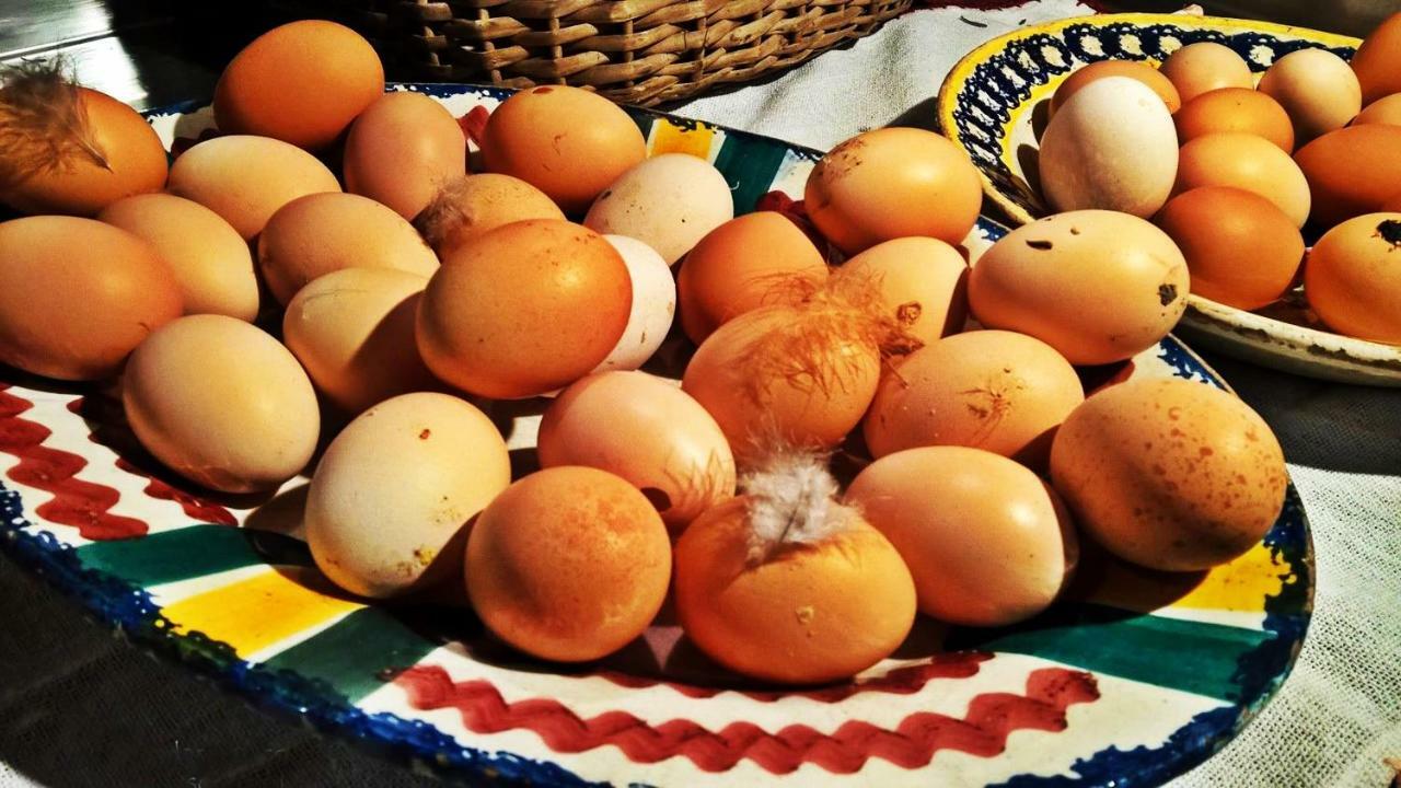 Chale Pouso Da Serra - Casas De Montanha Costilhao Zewnętrze zdjęcie